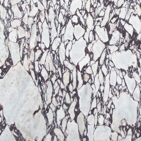 Calacatta Viola Marble